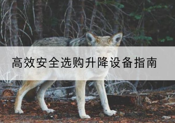 云溪升降货梯厂家推荐-*安全选购升降设备指南