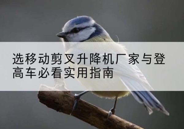 云溪电动升降机厂家-选移动剪叉升降机厂家与登高车必看实用指南