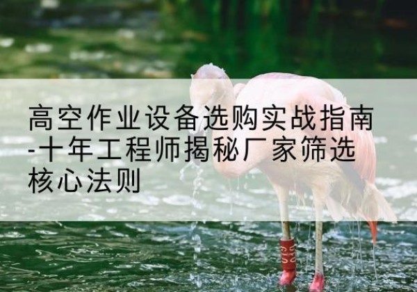 云溪剪叉式升降机厂家-高空作业设备选购实战指南-十年工程师揭秘厂家筛选核心法则